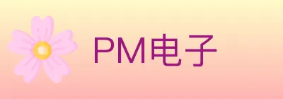 PM电子 Logo